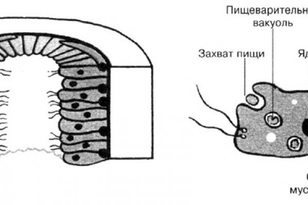 Какая ссылка на кракен