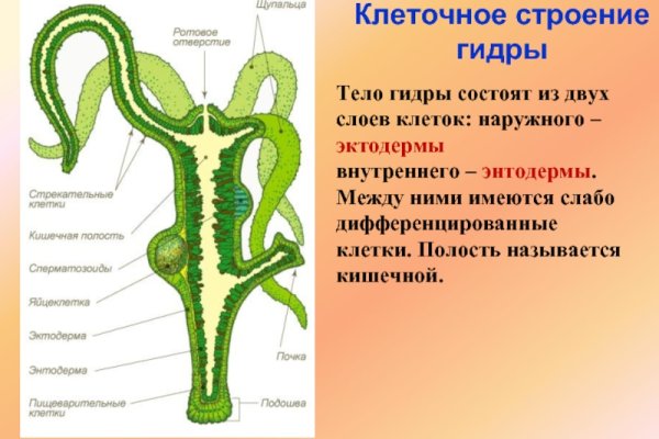 Как зайти на кракен в торе