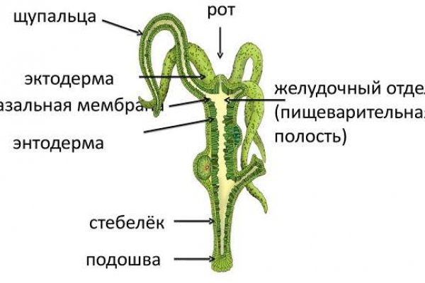 Кракен площадка торговая kr2web in