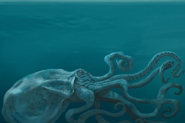 Kraken зеркала kr2web in