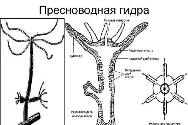 Как зайти на kraken