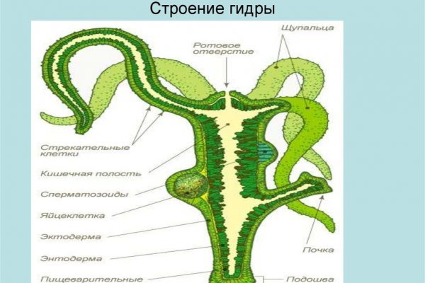 Кракен площадка нарко